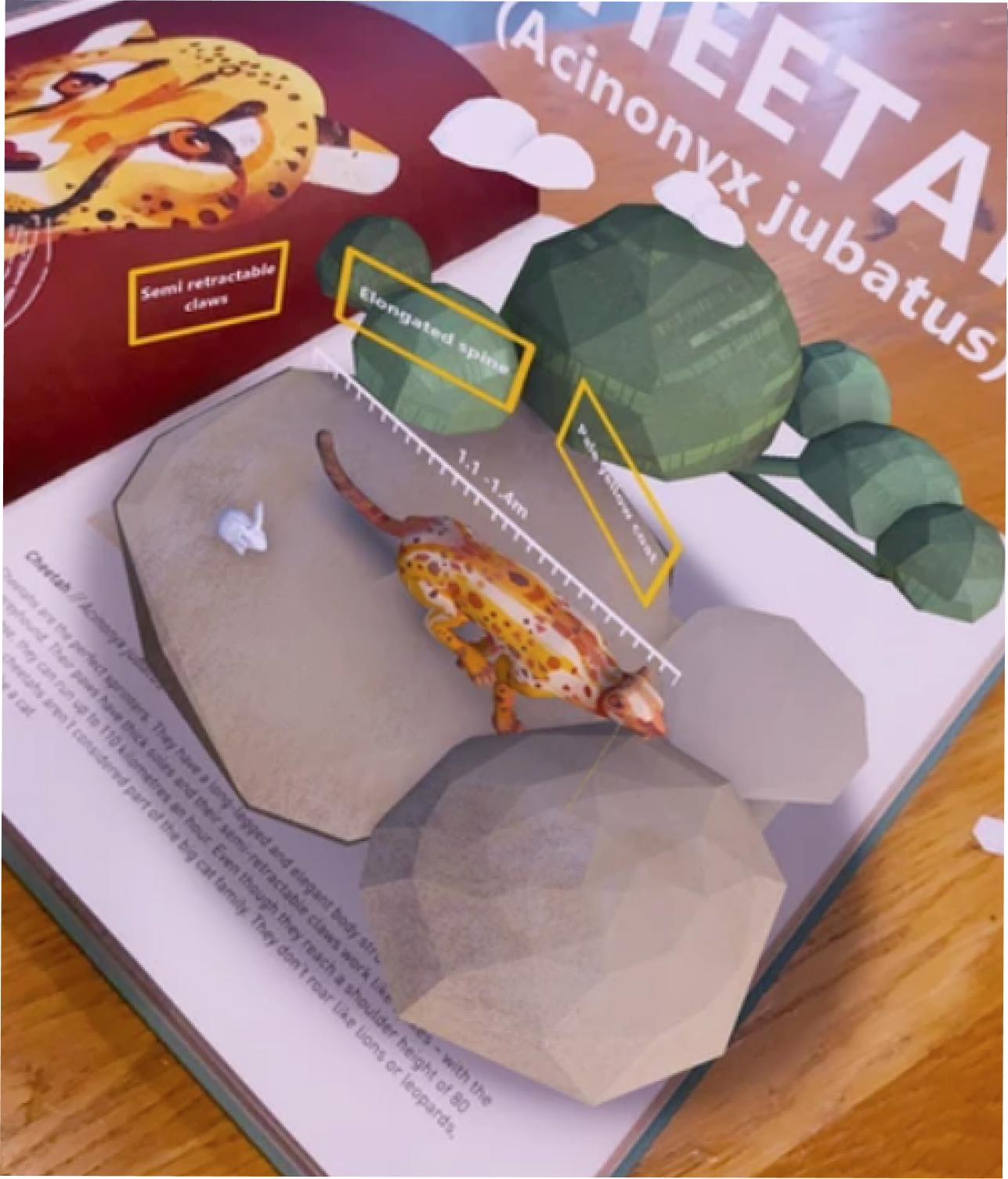 Animal Portal AR screenshot 2
